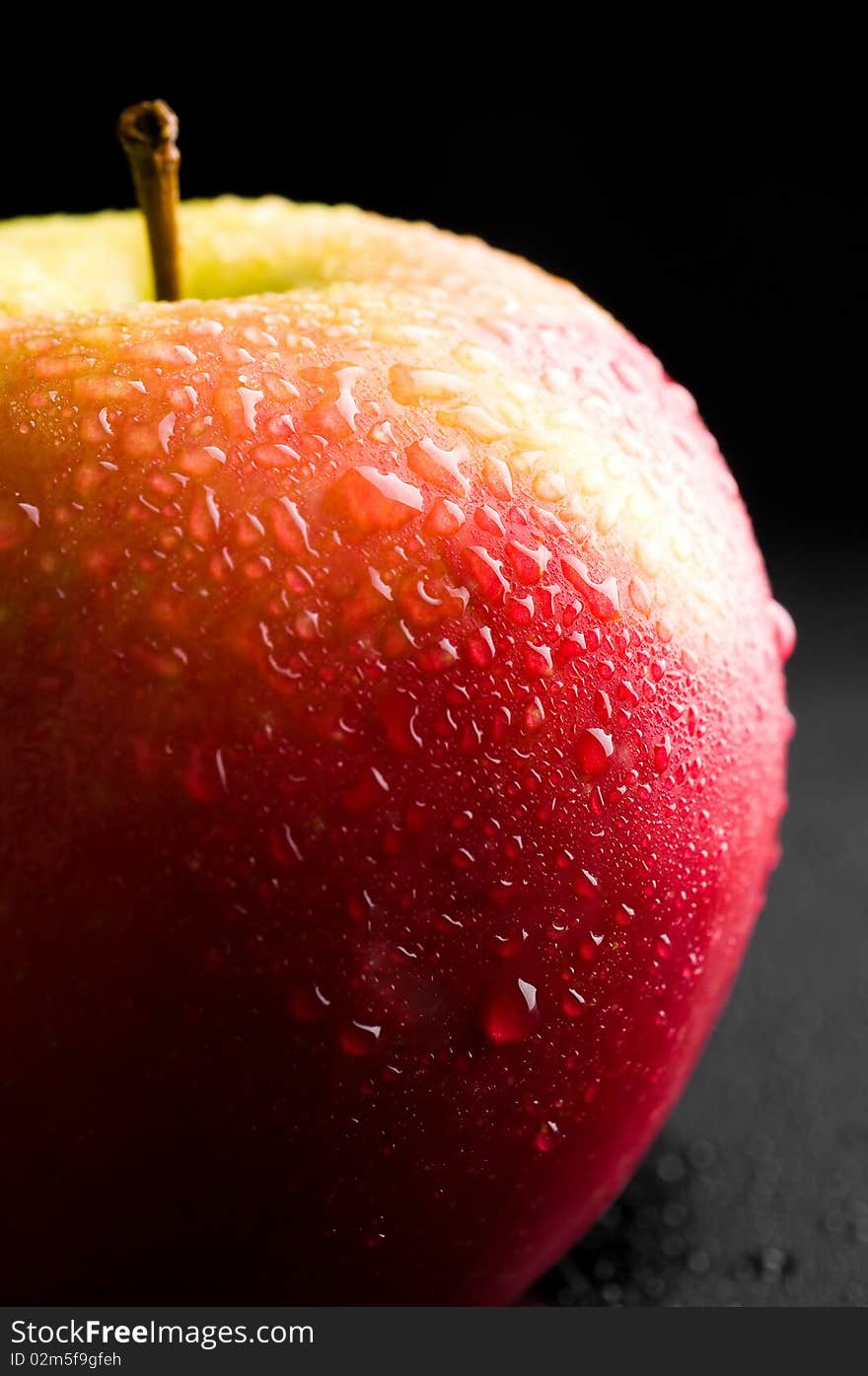 Red apple. Macro studio shot.