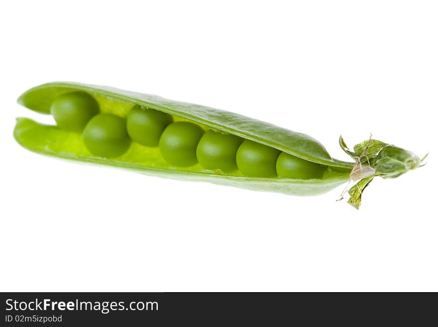 Green pea on white background. Green pea on white background