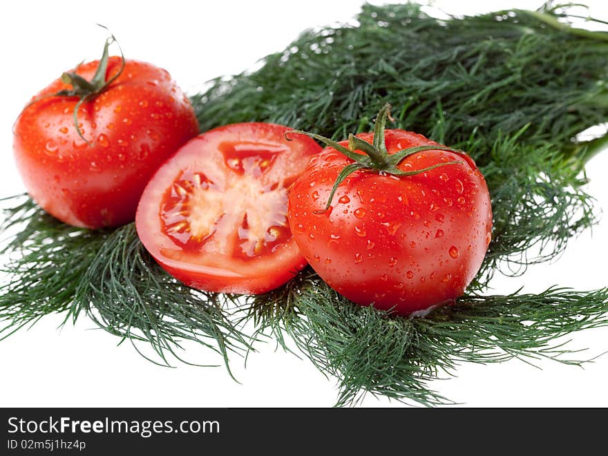 Juicy tomatoes on bunch of the dill