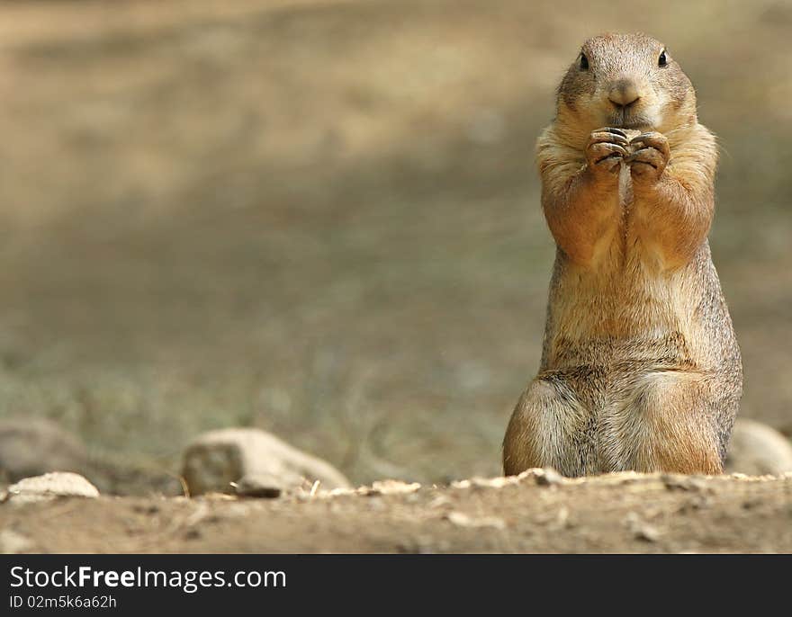 Snack Time!