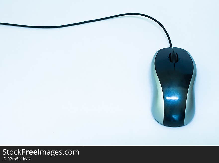 Mouse And White Background