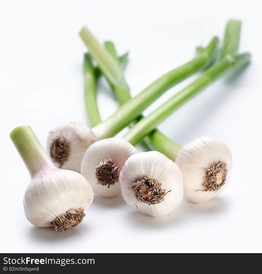 Young garlic on a white background