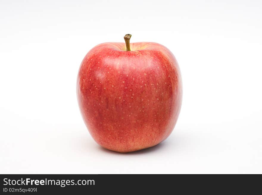 Apple Malus domestica