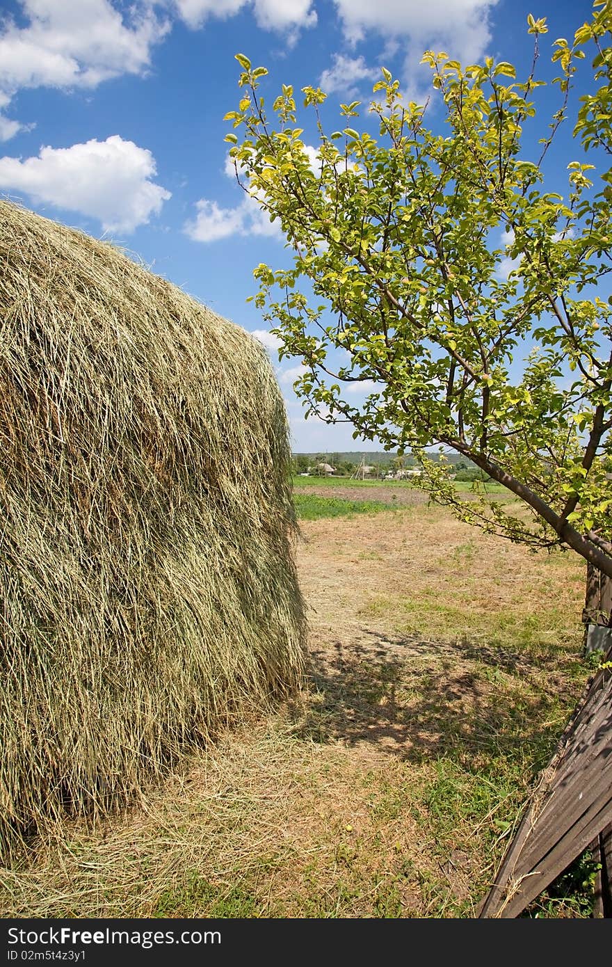 The stack of dry hay is prepared for a winter season for livestock feeding. The stack of dry hay is prepared for a winter season for livestock feeding