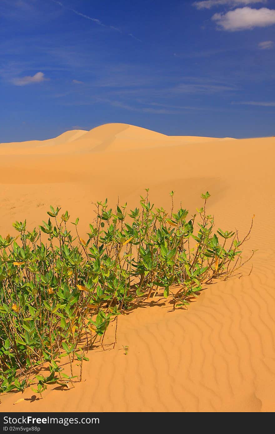 Red sand dune in Vietnam