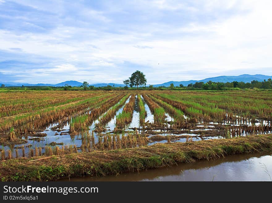 Rural area,countryside of Thailand,Northern of Thailand. Rural area,countryside of Thailand,Northern of Thailand