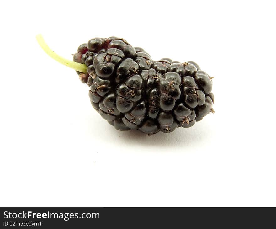 One berry of the mulberry on white background close-up. One berry of the mulberry on white background close-up