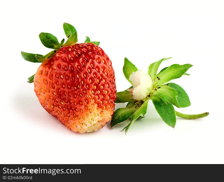 Red strawberry isolated on white background