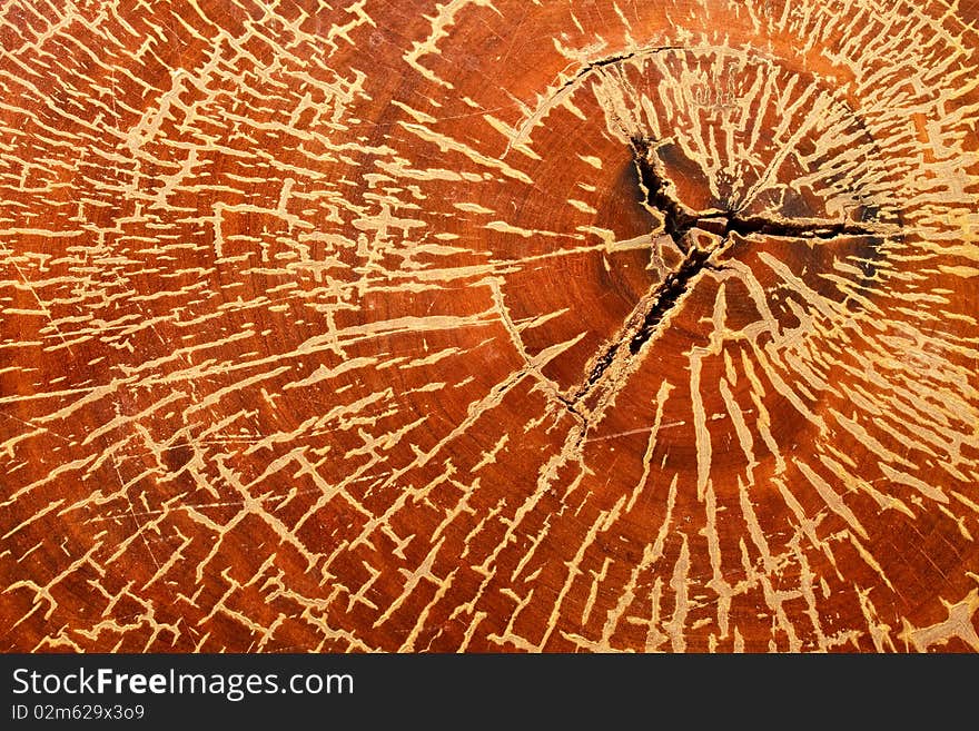 Wooden texture. It is use as a background. Wooden texture. It is use as a background.