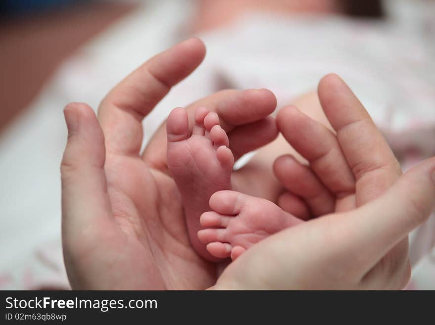 Little baby foot in hands