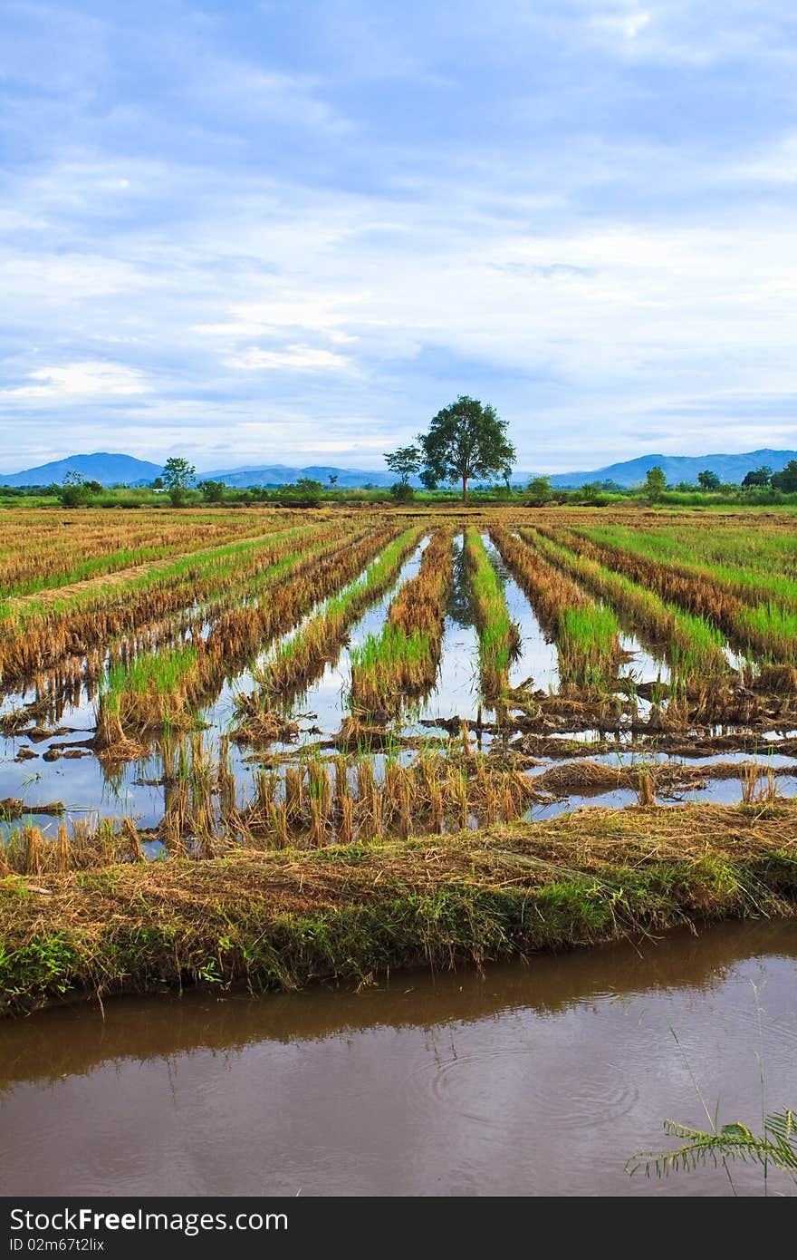 Rural area,countryside of Thailand,Northern of Thailand. Rural area,countryside of Thailand,Northern of Thailand