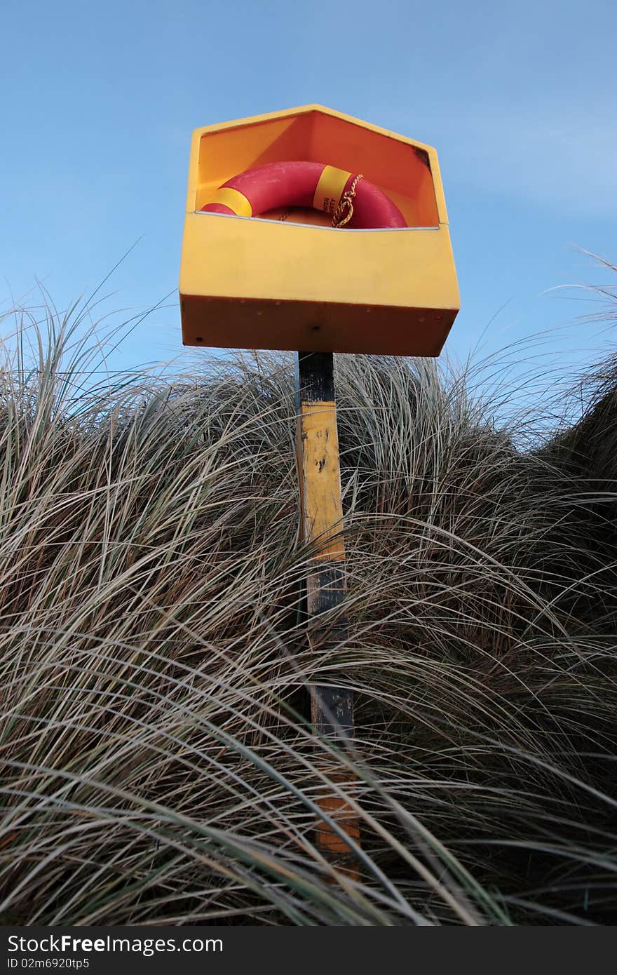 Lifebuoy Among Long Wild Grass