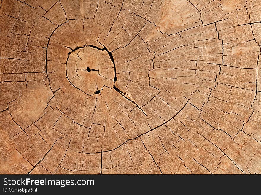 Wooden texture. It is use as a background. Wooden texture. It is use as a background.