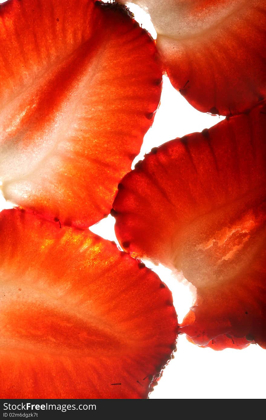 Close-up view of sliced strawberry in back light. Close-up view of sliced strawberry in back light