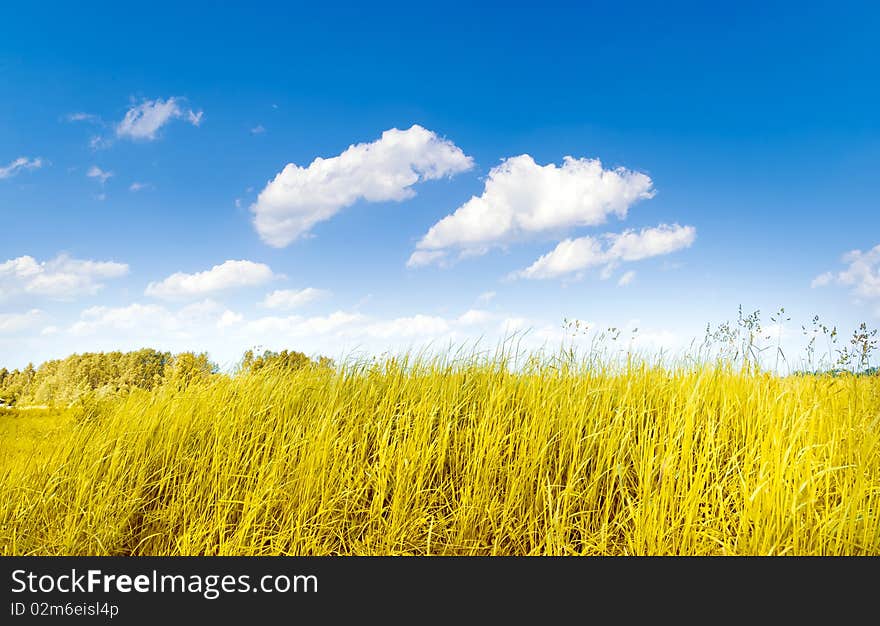 In a photo the landscape is represented. In a photo the landscape is represented