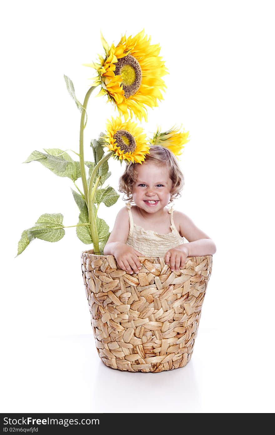 Baby girl in sunflowers on white