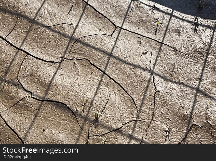 Cracked earth background with shadow