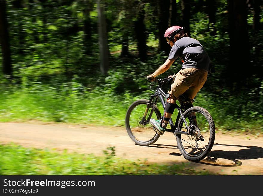 Cyclist In Forest