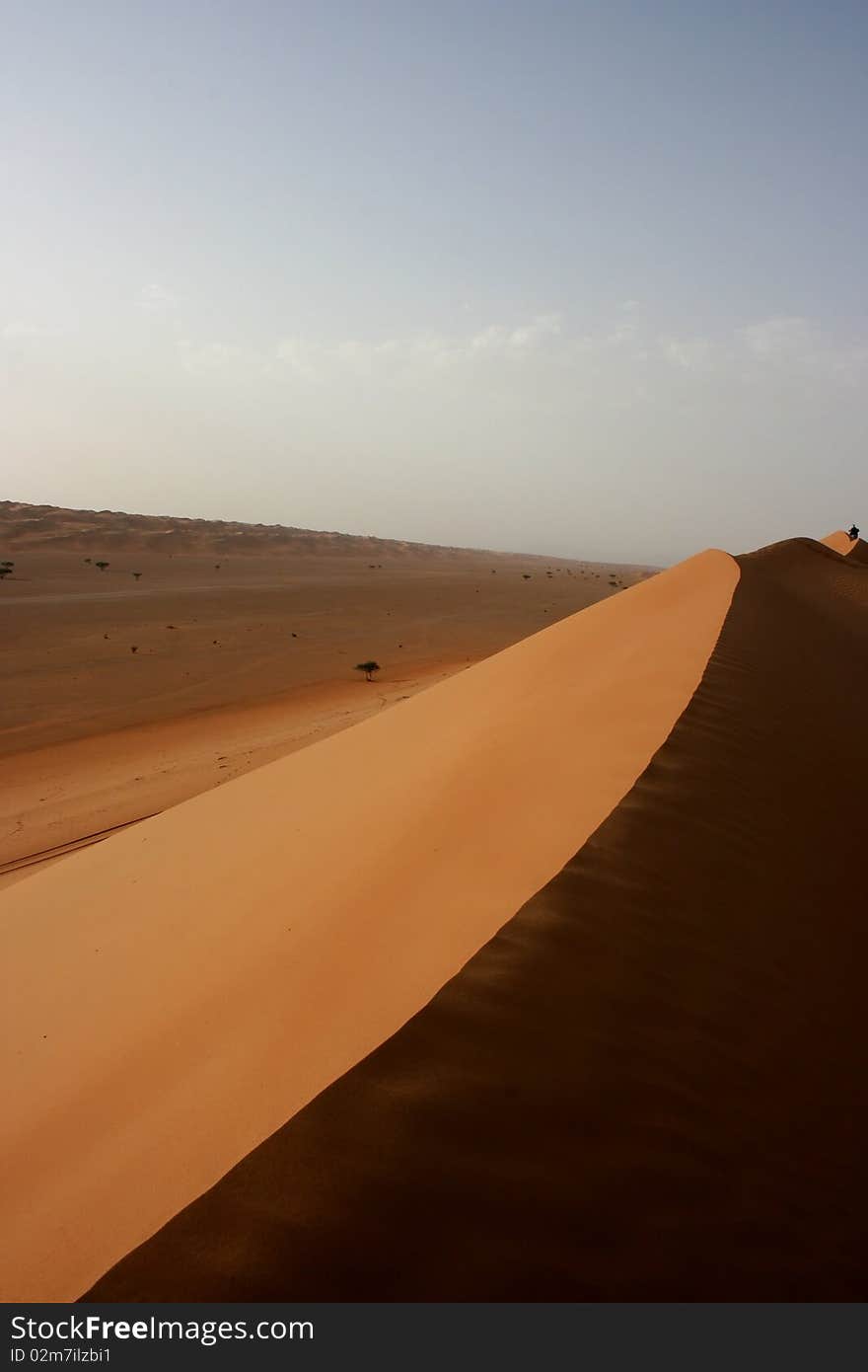 Beautiful sand desert area called Wahiba Sands in Oman