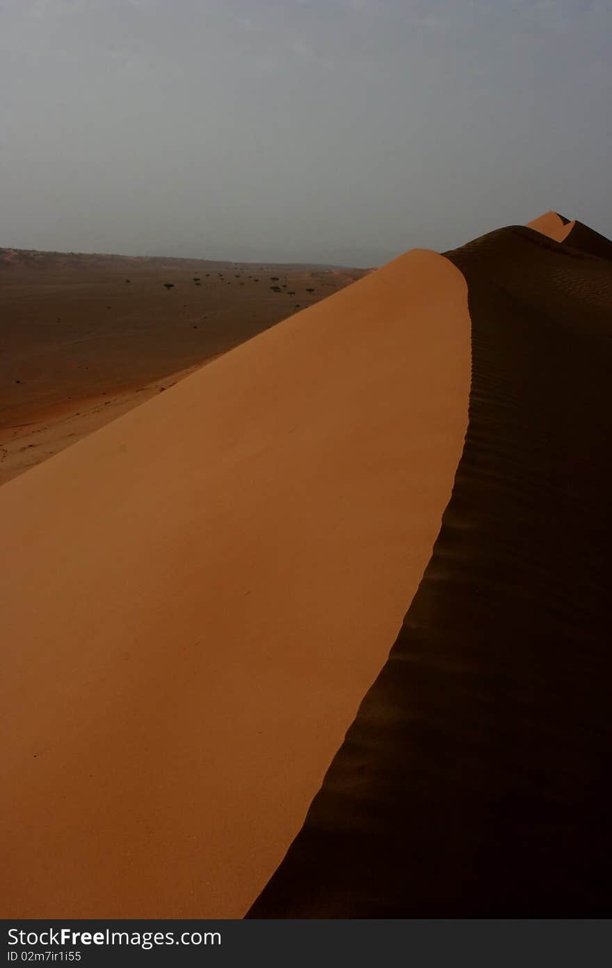 Beautiful sand desert area called Wahiba Sands in Oman