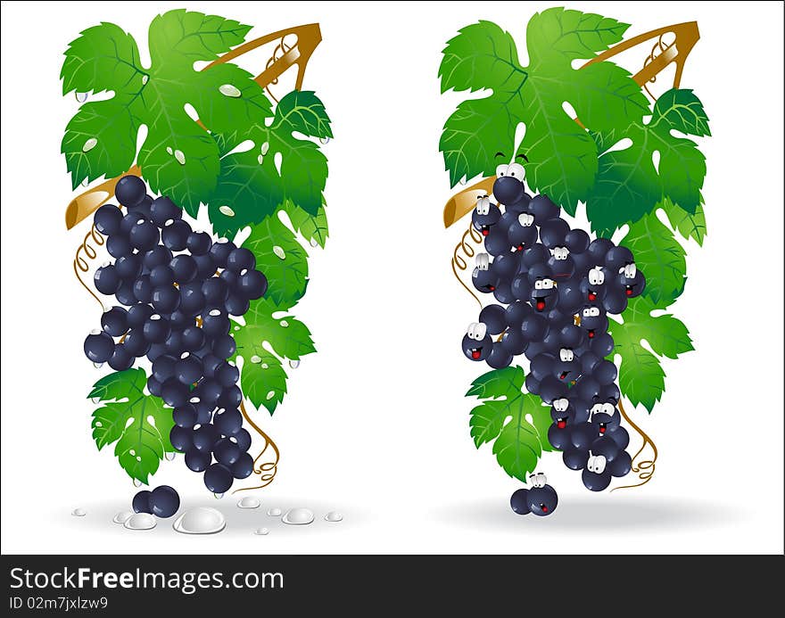 Grape Glossy Icon