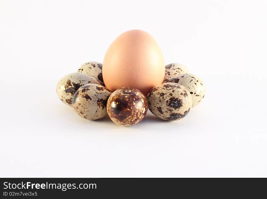 Eggs