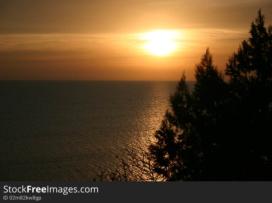 Russia. Beautiful sea decline. Silhouettes of junipers. Russia. Beautiful sea decline. Silhouettes of junipers.