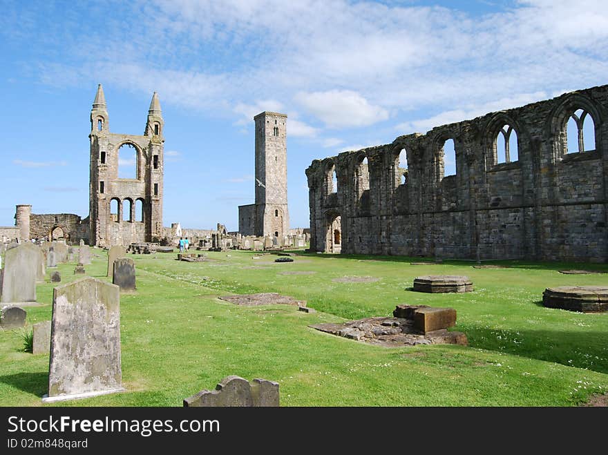 Graves At Cathedral