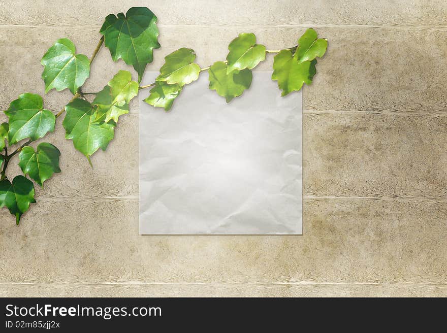 Abstract  background with green leaves