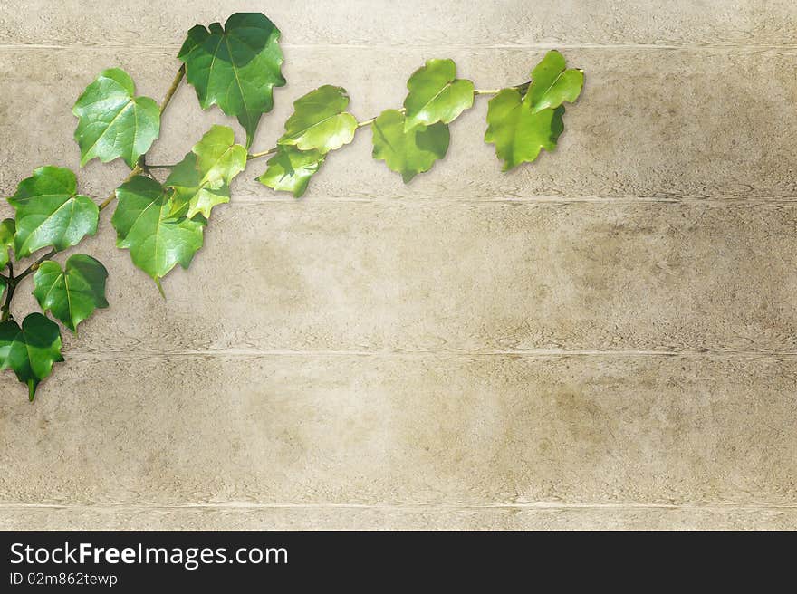 Abstract  background with green leaves