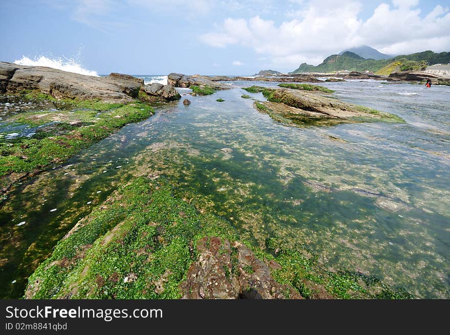 Rocks with green seaweed at the coast