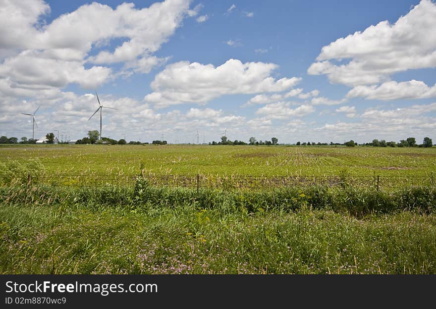 Windmills on an Indiana Farm in June