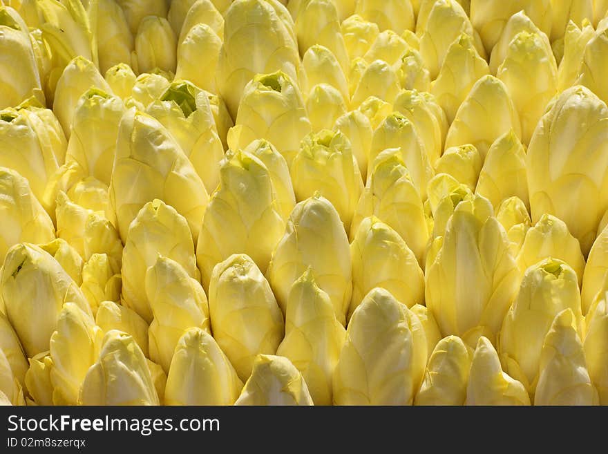 Endives