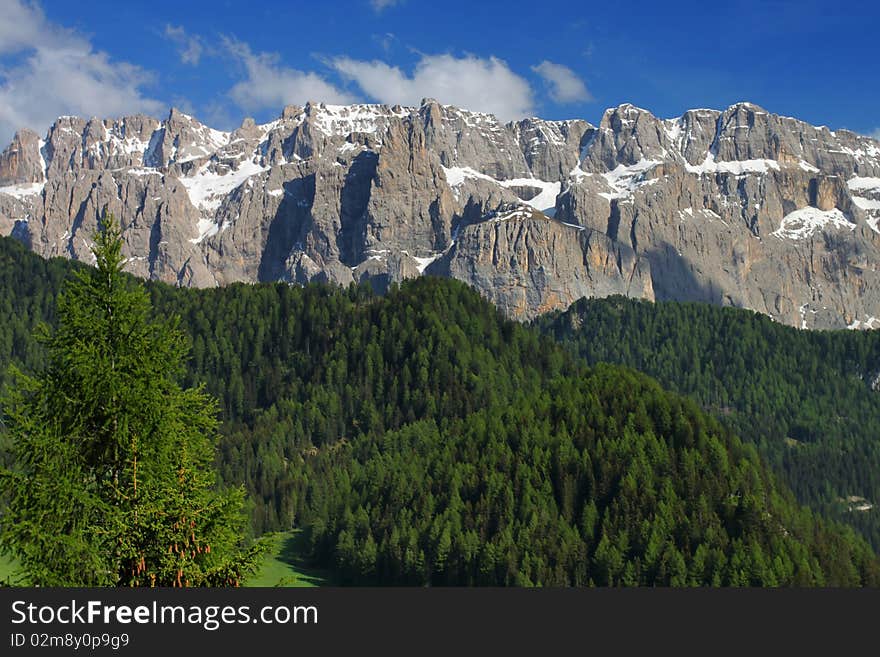 View of Dolomites, Italy with forest in the foreground. View of Dolomites, Italy with forest in the foreground