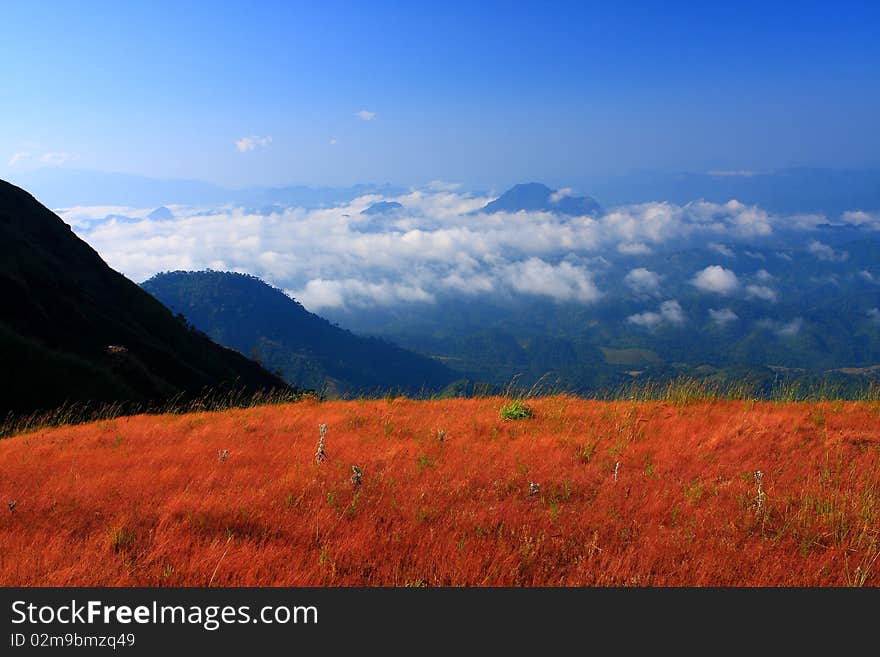 Mountain View at north of Thailand