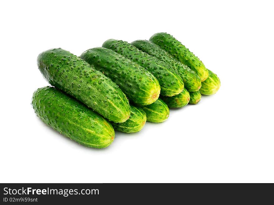 Green ripe cucumbers on a white background. Green ripe cucumbers on a white background