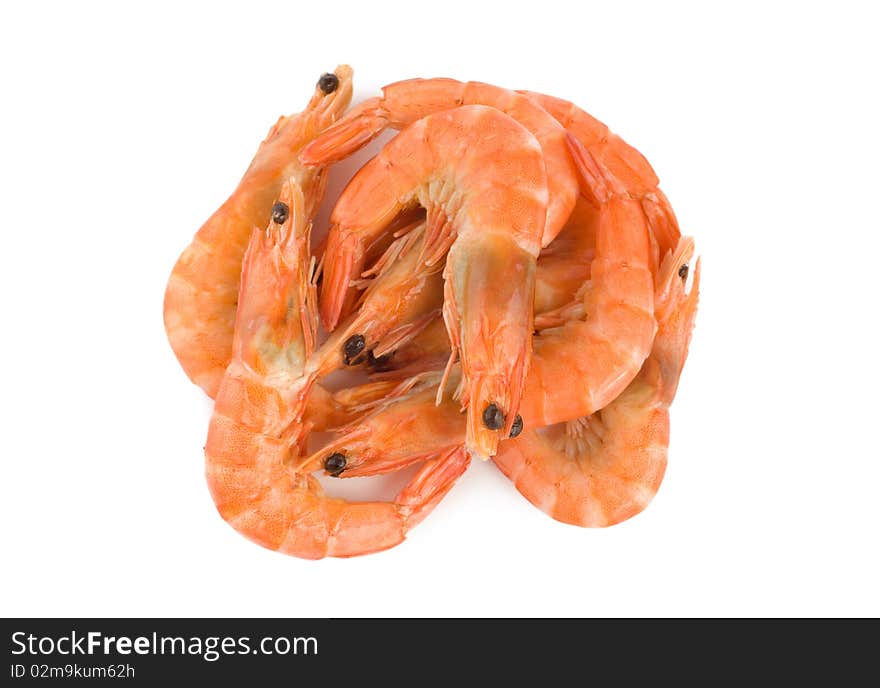 Boiled Shrimps