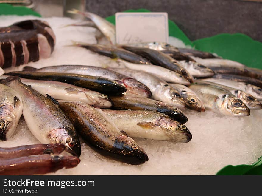 Fish at the market