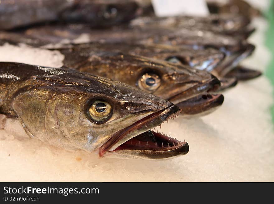 Fish heads