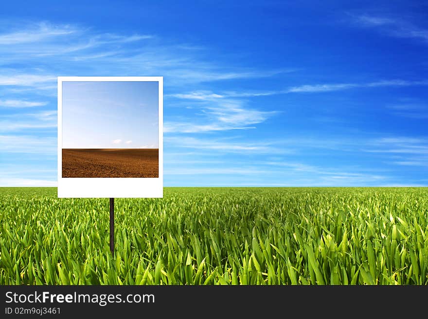 Dry field on polaroid against the fresh green field - concept. Dry field on polaroid against the fresh green field - concept