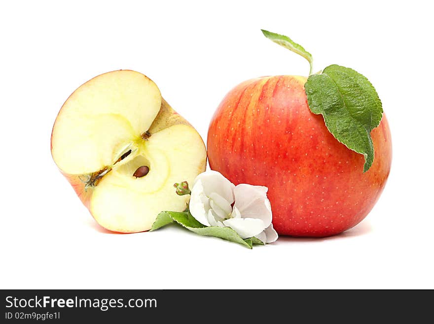 Red apple, half and flower on a white background