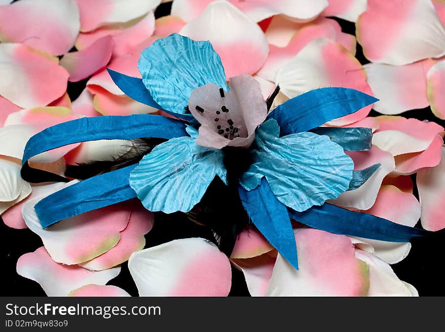 A blue artificial orchid and pink rose petals on black. A blue artificial orchid and pink rose petals on black