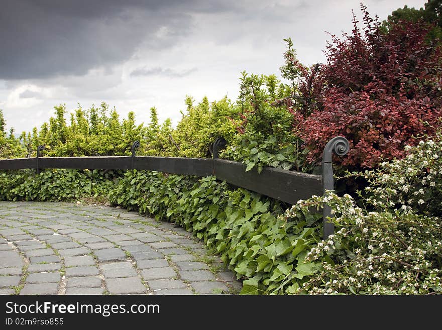 Colorful bush and wooden fence