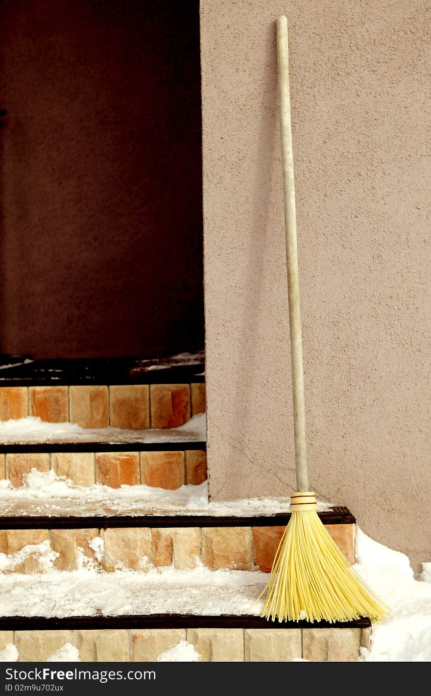 Yellow Broom on the Porch, winter