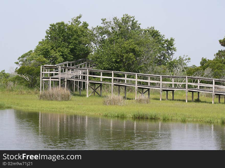 Boardwalk Through Marsh