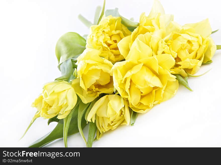 Bunch of yellow tulips