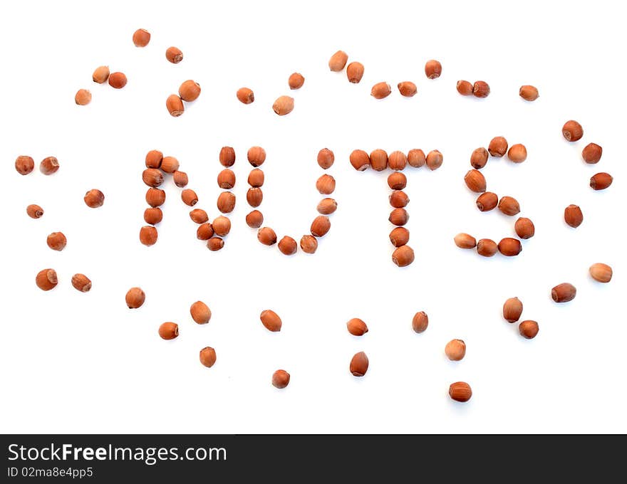 Wood nut  on a white background