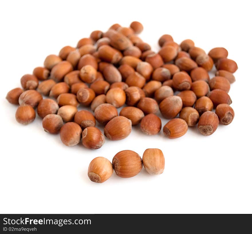 Wood nut  on a white background