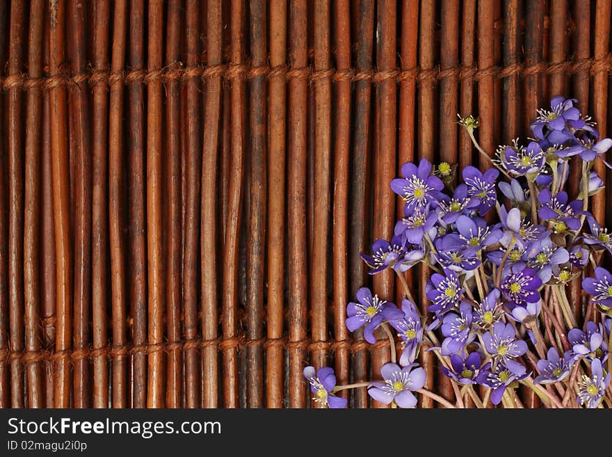 Violet flowers on a brown wooden mat