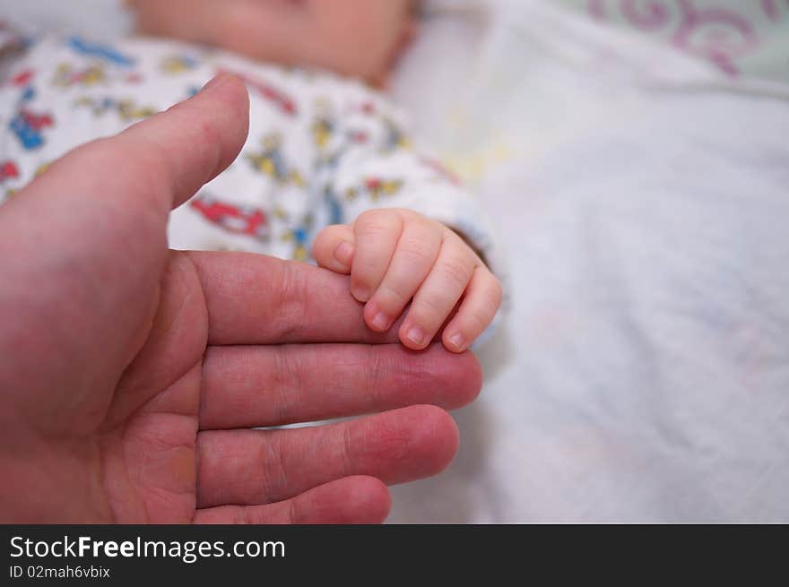 Photo hand of baby in father's  hand. Photo hand of baby in father's  hand